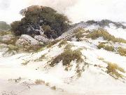 Percy Gray Monterey Sany Dunes (mk42) china oil painting reproduction